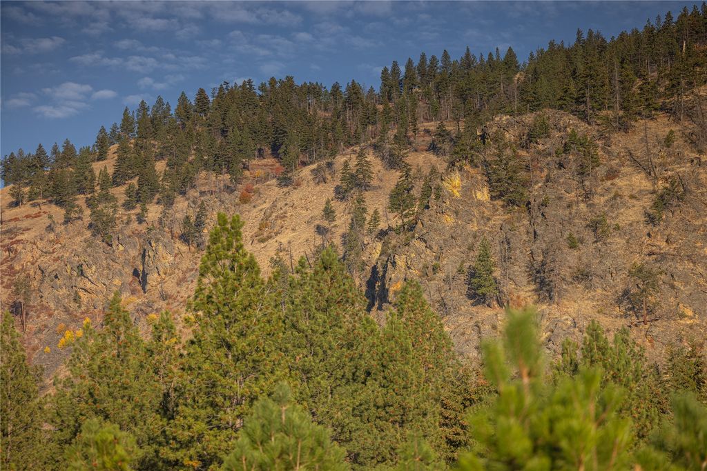 8337 Lamar Trail, Florence, MT 59833 photo 9