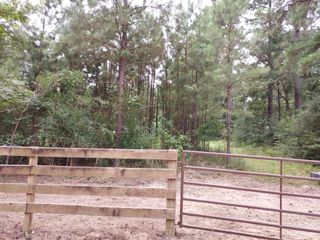 811 Plantation Drive, Livingston, TX 77351