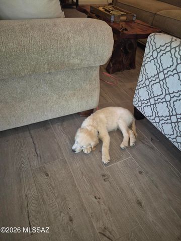 14350 E Costello Ranch Place, Vail, AZ 85641