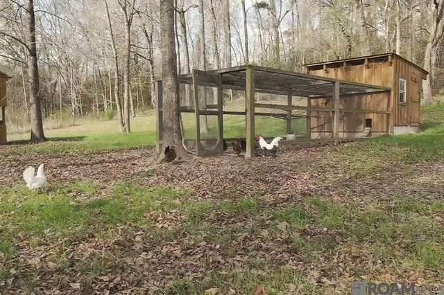 8797 Ritchie Ln, St Francisville, LA 70775