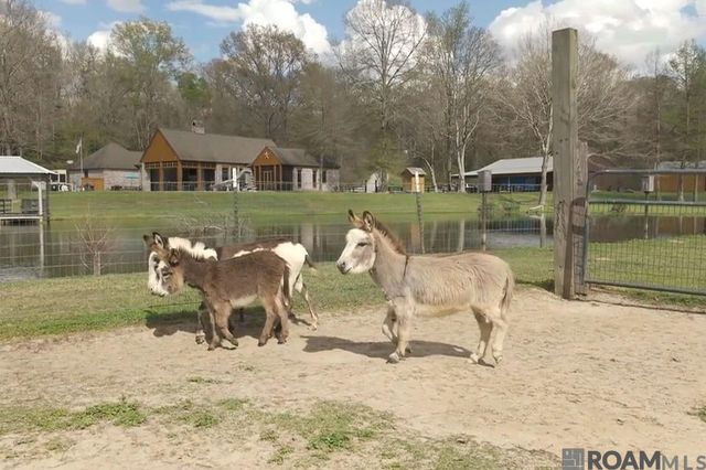 8797 Ritchie Ln, St Francisville, LA 70775