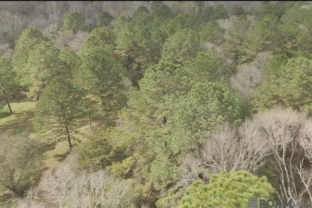 8797 Ritchie Ln, St Francisville, LA 70775