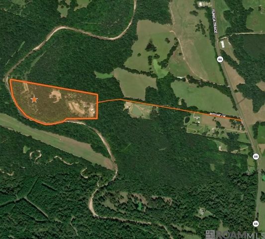 8797 Ritchie Ln, St Francisville, LA 70775