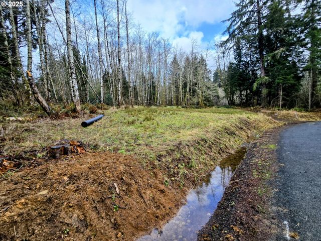 92303 CLAREMONT Rd, Astoria, OR 97103