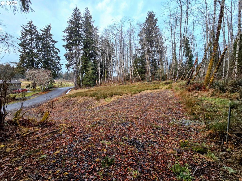 92303 CLAREMONT Rd, Astoria, OR 97103