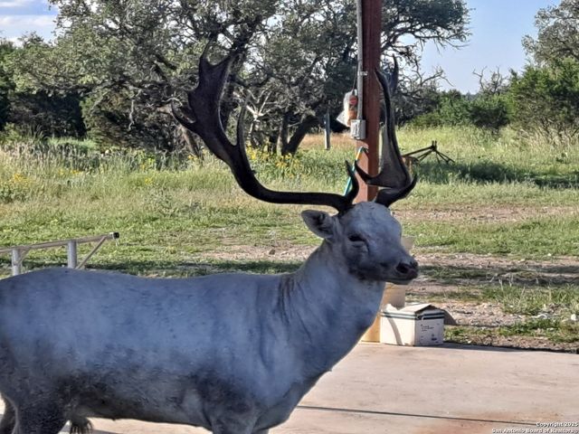 2724 Sd 24910, Rocksprings, TX 78880