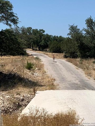 2724 Sd 24910, Rocksprings, TX 78880