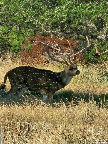 2724 Sd 24910, Rocksprings, TX 78880