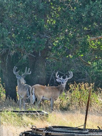 2724 Sd 24910, Rocksprings, TX 78880