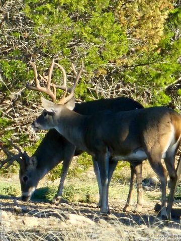 2724 Sd 24910, Rocksprings, TX 78880