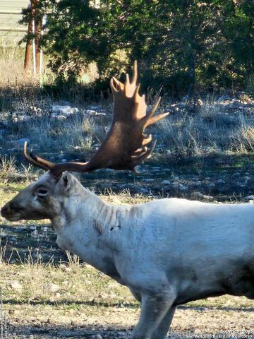 2724 Sd 24910, Rocksprings, TX 78880