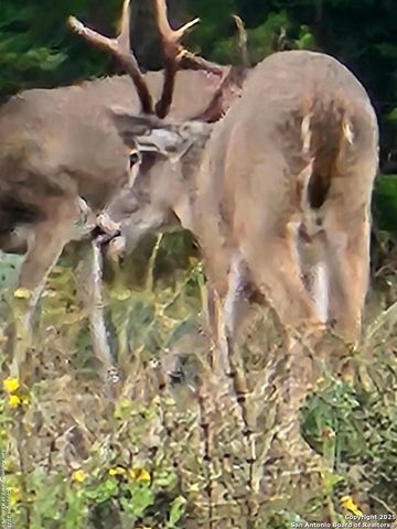 2724 Sd 24910, Rocksprings, TX 78880