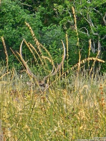 2724 Sd 24910, Rocksprings, TX 78880