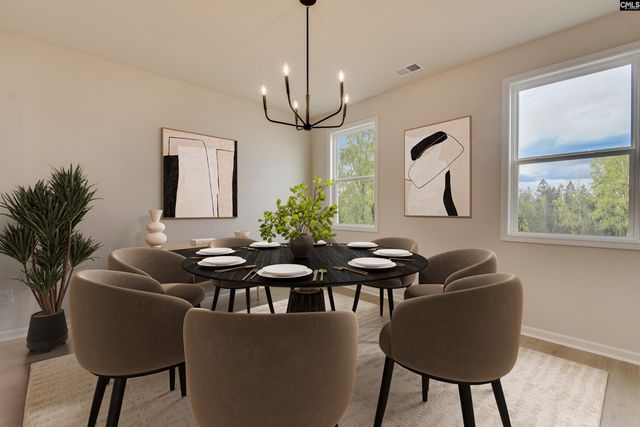 377 Chapin Place Way, Chapin, SC 29036