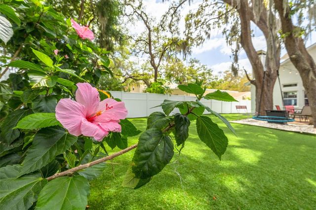 901 VIRGINIA AVENUE, Tarpon Springs, FL 34689