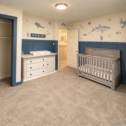 2842 Plato Place, De Soto, MO 63020