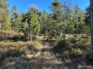 6 Lilypad Place E, Port Orchard, WA 98366
