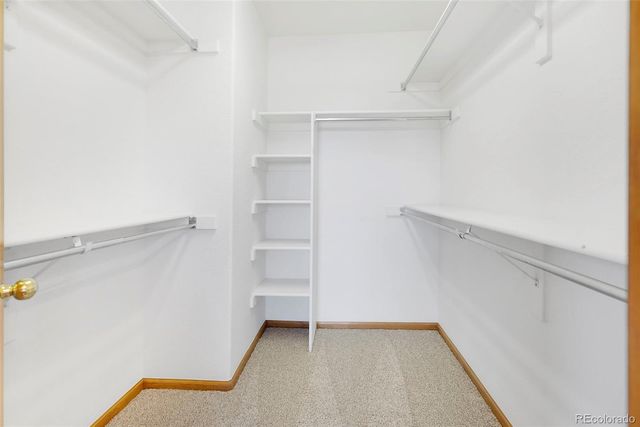 173 White Ash Drive, Golden, CO 80403