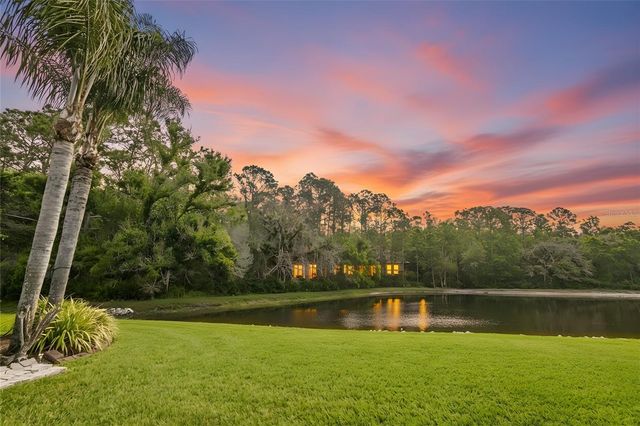 13010 ROYAL GEORGE AVENUE, Odessa, FL 33556