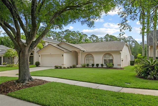 13010 ROYAL GEORGE AVENUE, Odessa, FL 33556