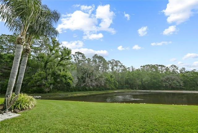 13010 ROYAL GEORGE AVENUE, Odessa, FL 33556