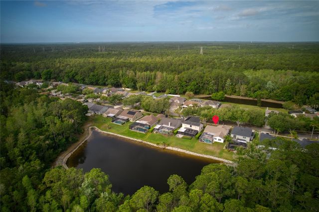 13010 ROYAL GEORGE AVENUE, Odessa, FL 33556