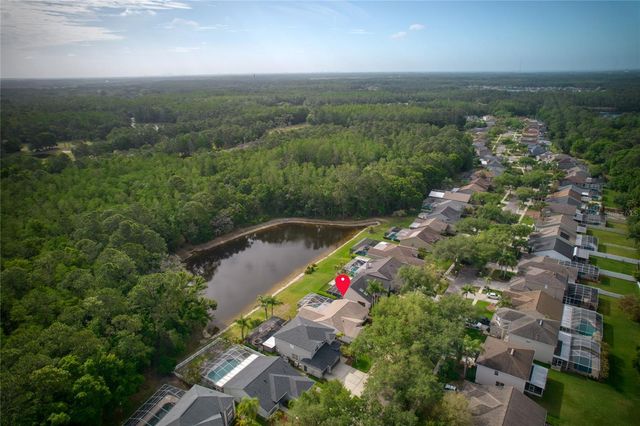 13010 ROYAL GEORGE AVENUE, Odessa, FL 33556