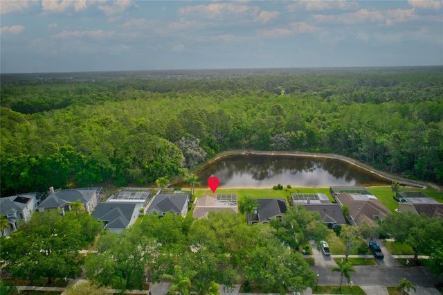 13010 ROYAL GEORGE AVENUE, Odessa, FL 33556