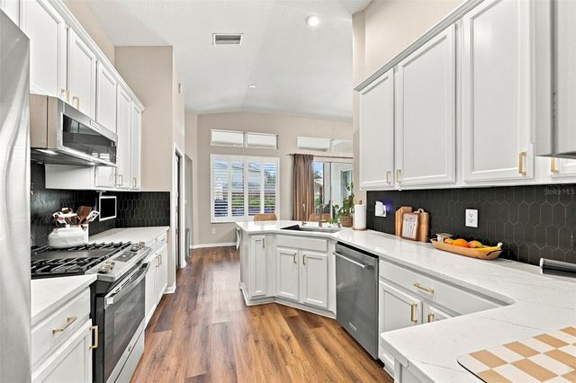 6315 BRIDGEVISTA DRIVE, Lithia, FL 33547