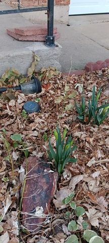 50 N Dartmouth Street, Colorado Springs, CO 80911