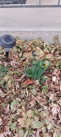 50 N Dartmouth Street, Colorado Springs, CO 80911