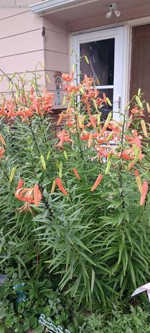 50 N Dartmouth Street, Colorado Springs, CO 80911