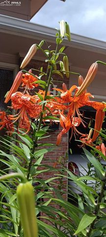 50 N Dartmouth Street, Colorado Springs, CO 80911