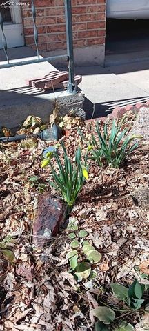 50 N Dartmouth Street, Colorado Springs, CO 80911