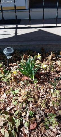 50 N Dartmouth Street, Colorado Springs, CO 80911