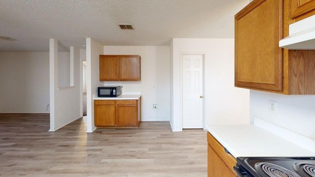 603 Ambarella Street, Arlington, TX 76002