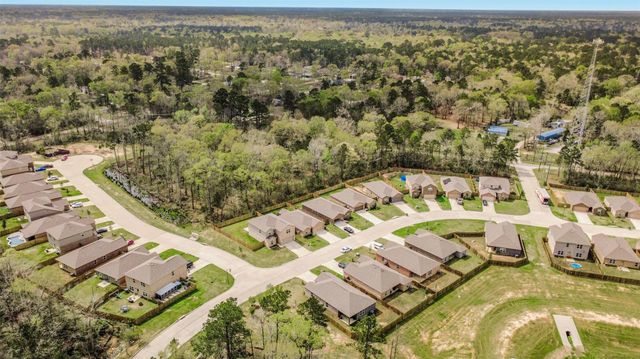 25418 Glacier Lake Drive, Cleveland, TX 77328