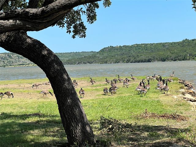 115 PR 3005, Possum Kingdom Lake, TX 76450