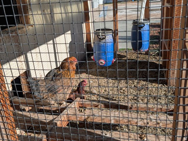 6017 W FRAGRANT LN, Herriman, UT 84096