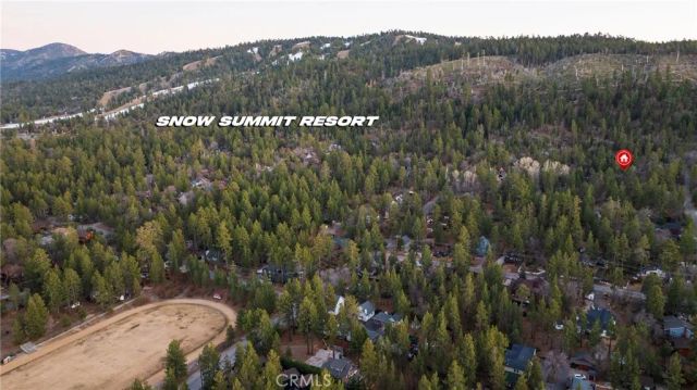 41175 Terrapin, Big Bear Lake, CA 92315