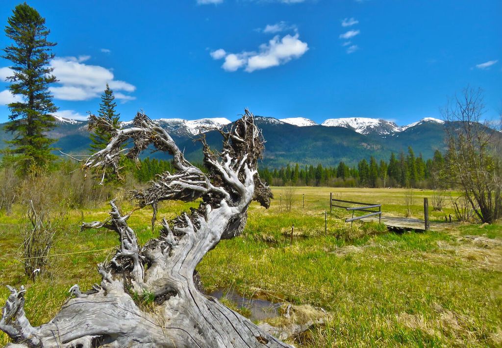 895 MUD LAKE ROAD, BIGFORK, MT 59911, BIGFORK, MT Clearwater Properties