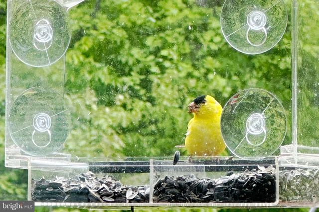 770 POPLAR RD, Stafford, VA 22556