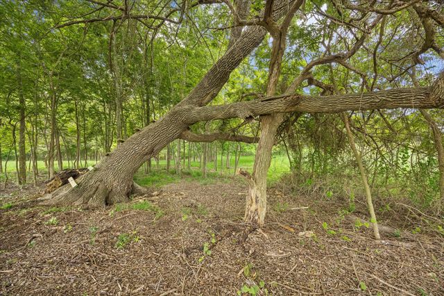 10493 Fm 1371, Chappell Hill, TX 77426