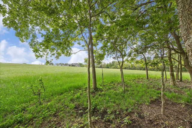 10493 Fm 1371, Chappell Hill, TX 77426