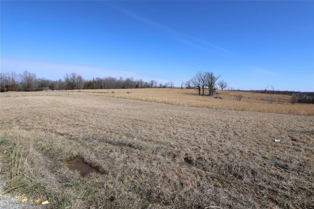 160 County Road 479, Poplar Bluff, MO 63901