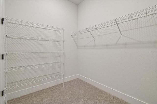 11317 HARDWOOD HAMMOCK LANE, Riverview, FL 33569