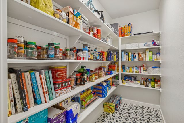 1435 Stellar Truth Way, Wylie, TX 75098