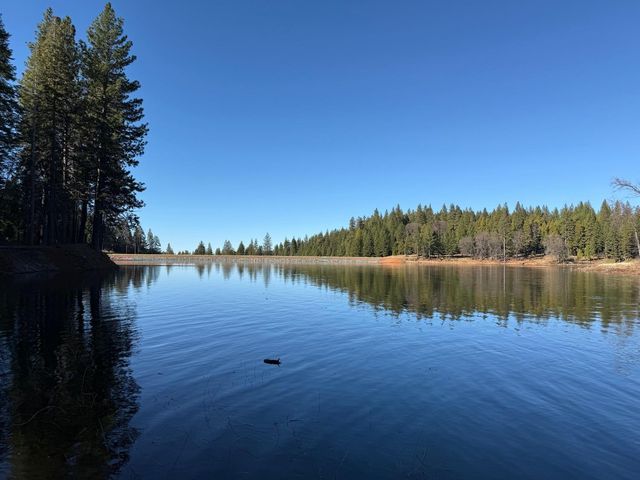 1833 Sams Ln, Pollock Pines, CA 95726