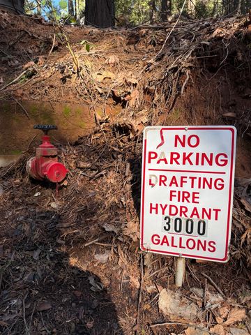 1833 Sams Ln, Pollock Pines, CA 95726