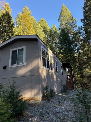 1833 Sams Ln, Pollock Pines, CA 95726